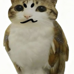 Catmilkmut official Group!