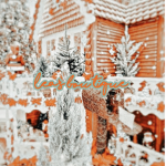 • ʙʀᴇɴɴ’s ʙᴏᴜᴛɪǫᴜᴇ •
