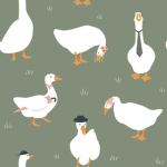 For the ducks