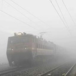 India RP