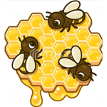 Honeybees club