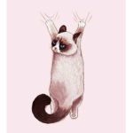 >!meow!<