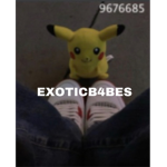 EXOTICB4BES