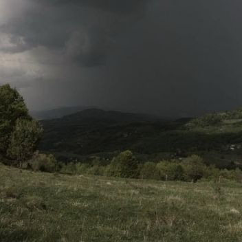 Rain.