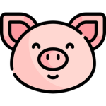 HUNGER PIG