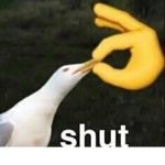joshiscoolandboss