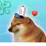 Doges are important