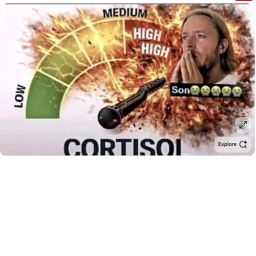 High Cortisol Obby