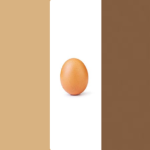 EGG REPUPILIC