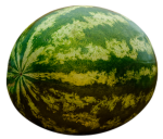 CULT OF THE WATERMELON