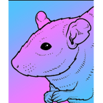 The rat group
