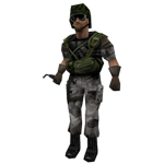 greenwood militia