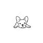 Dogs for Iife!!!