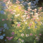 Daisy's Flowers!