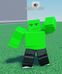 THE COLOR BOYS