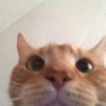 esdfdf