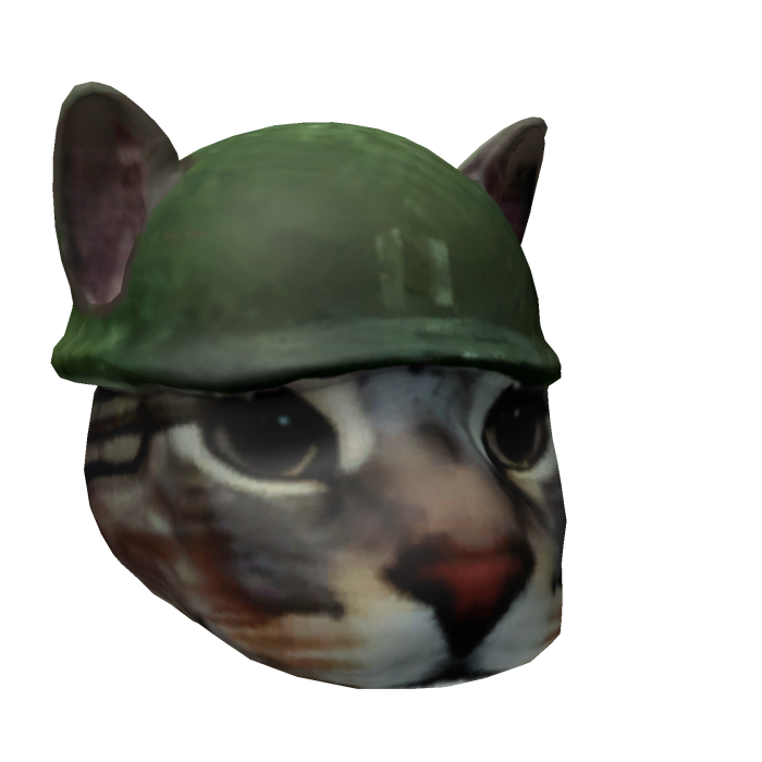 War Cat Meme