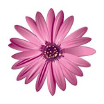 [FIORE]