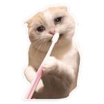 Brush ur teeth