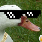 Kd_MrGoose Development