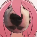 The anime masterz