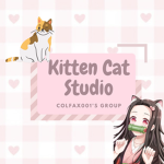 Kitten cat Studio