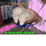 Possum Cavern