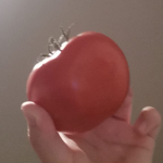 Minecraft.pl