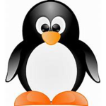 penguin peepssss