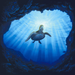 Koopa Cave