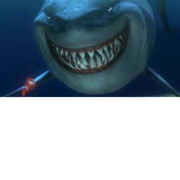 les requins killers