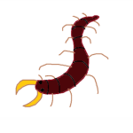 Centipede Stampede