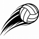 Volleyball international league