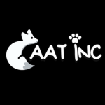 Caat inc