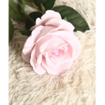 Mangle._rblx