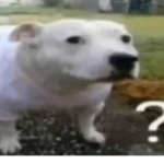me when the when the official