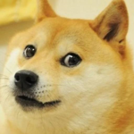 Doges Studios..