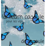 La Team Cagoule