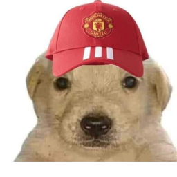 BUYER DOGXS!!