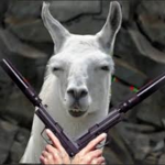 LELE THE LLAMA FORCES