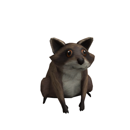 Friendly Raccoon