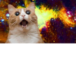 -+ Star Gang +-