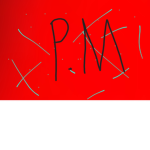 P.M. group