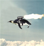 Pinguan air force2
