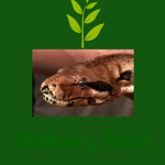 Slithery said