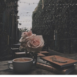 cclovdytea