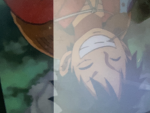 Mugiwara Strawhat crew
