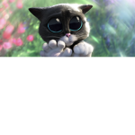 el gato :(