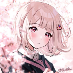 Cherry blossom home store