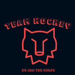 Team Hokcey / ice hockey team